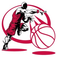 Who Got Game Basketball Academy (WGGBA) logo - Similar company to Avalon Academy And Game Studio
