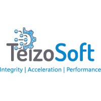TeizoSoft Private Limited logo - Similar company to Digicloud It Solutions Llp