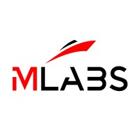 MLabs logo - Similar company to Metalamp
