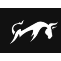 Bull SEO logo - Similar company to Online Rebels
