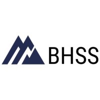Behavioral Health Strategy Solutions logo - Similar company to Valley Behavioral Health, Llc