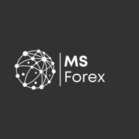 MS Forex logo - Similar company to Paymentracks