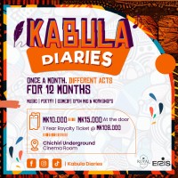 Kabula Diaries logo - Similar company to Emerge Fund