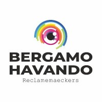BergamoHavando logo - Similar company to Berijk