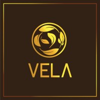 VELA Group logo - Similar company to Hacofarm