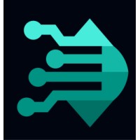 Raidar logo - Similar company to Triodia Scanning Services