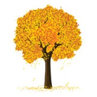 Caleb Treeze Organic Farm logo - Similar company to Pleasant Run Nursery Inc
