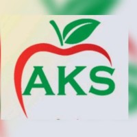 AKS TRADERS logo - Similar company to Detector Power