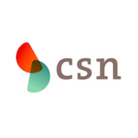 CSN SRL logo - Similar company to Mana