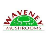WAVENEY MUSHROOMS LIMITED logo - Similar company to Nirvana Mushrooms