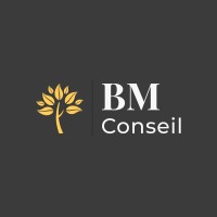 BM Conseil logo - Similar company to Cformations