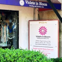 Violets In Bloom, LLC logo - Similar company to Morphology