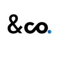 & Co. Consulting logo - Similar company to Intelzaa