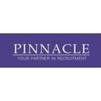 Pinnacle Executive Search. Co