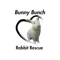 Bunny Bunch Rabbit Rescue logo - Similar company to The Rabbit Sanctuary