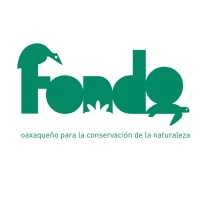 Fondo Oaxaqueño logo - Similar company to Voz Laboral