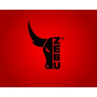 ZEBU PT logo - Similar company to Cleverman
