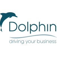 Dolphin Italia Srl logo - Similar company to 4Consulting Srl