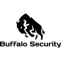 Buffalo Security logo - Similar company to Ace Technologies / Interactive Systems