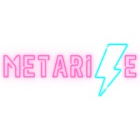 Metarise logo - Similar company to One Big Fund