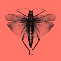 SWARM logo - Similar company to Perolia