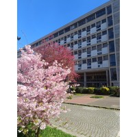 Faculté de Droit et de Science politique Université de Rennes logo - Similar company to Centre De La Main