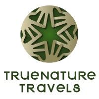 True Nature Travels logo - Similar company to Rsg Performance