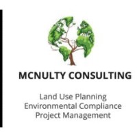 McNulty Consulting logo - Similar company to Cherry Consulting