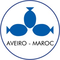NOUVELLE AVEIRO MAROC logo - Similar company to C.A Conseils