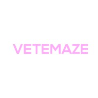 VETEMAZE logo - Similar company to Collectif Miss'Sing