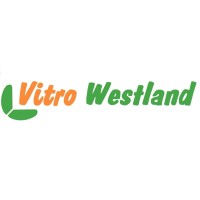 Vitro Westland B.V. logo - Similar company to Explant Technologies B.V.