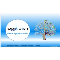 Radix Soft logo - Similar company to Binary Works Io, Inc.