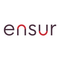 Ensur NV logo - Similar company to Thewave