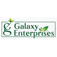 Galaxy Enterprises , Bengaluru logo - Similar company to Galaxy Enterprises (Galaxy Infotech Solution)