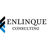 Enlinque Consulting logo - Similar company to Camlight Digital