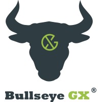 Bullseye GX logo - Similar company to Flyover Whiskey