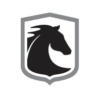 Black Horse Health logo - Similar company to Matchpro Placement