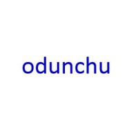 odunchu logo - Similar company to Azinterservice Co