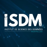 ISDM logo - Similar company to Erios