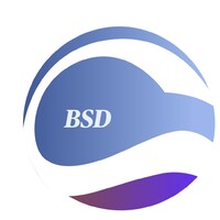 BSD Business Consulting logo - Similar company to Decano Consulting