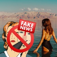 Israel Gaza Palestine War Fake Bullshit Videos News - Noticias falsa - Connerie - Blödsinn logo - Similar company to Bom Dia, Bixa!