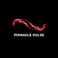 Pinnacle Pulse IT Solutions logo - Similar company to Pinnacle It Solutions