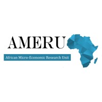 African Microeconomic Research Unit (AMERU) logo - Similar company to Africa Macroeconomic Analysts Program (Amap)