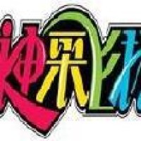 神采飞扬公司