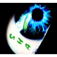 shadreams logo - Similar company to Sunbiz Solutions