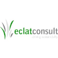 Eclat Consult logo - Similar company to Help My Cpa