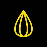 DI⚡OS Kernel logo - Similar company to Radhash