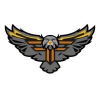Team Forza logo - Similar company to Atatürk Robotics