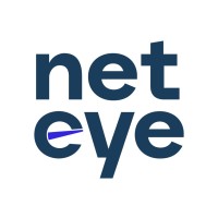 NetEye IT Solutions logo - Similar company to Rise Software
