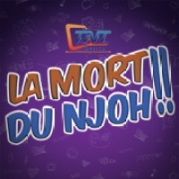 TNT Africa ( Cameroun ) logo - Similar company to Broadcom